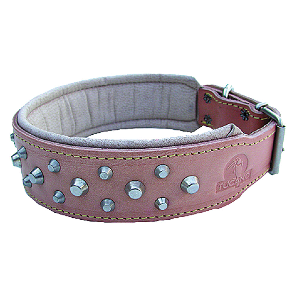 COLLARE PER CANE larg. mm 45 lung.cm 63-Guinzagli,collari e legami per animali-Ecanshop