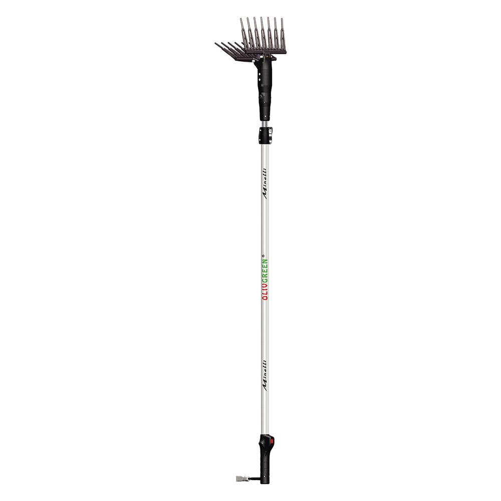 ABBACCHIATORE ELETTRICO 'OLIVGREEN A3' motore 12V-Macchine e attrezzature per olivicoltura-Ecanshop