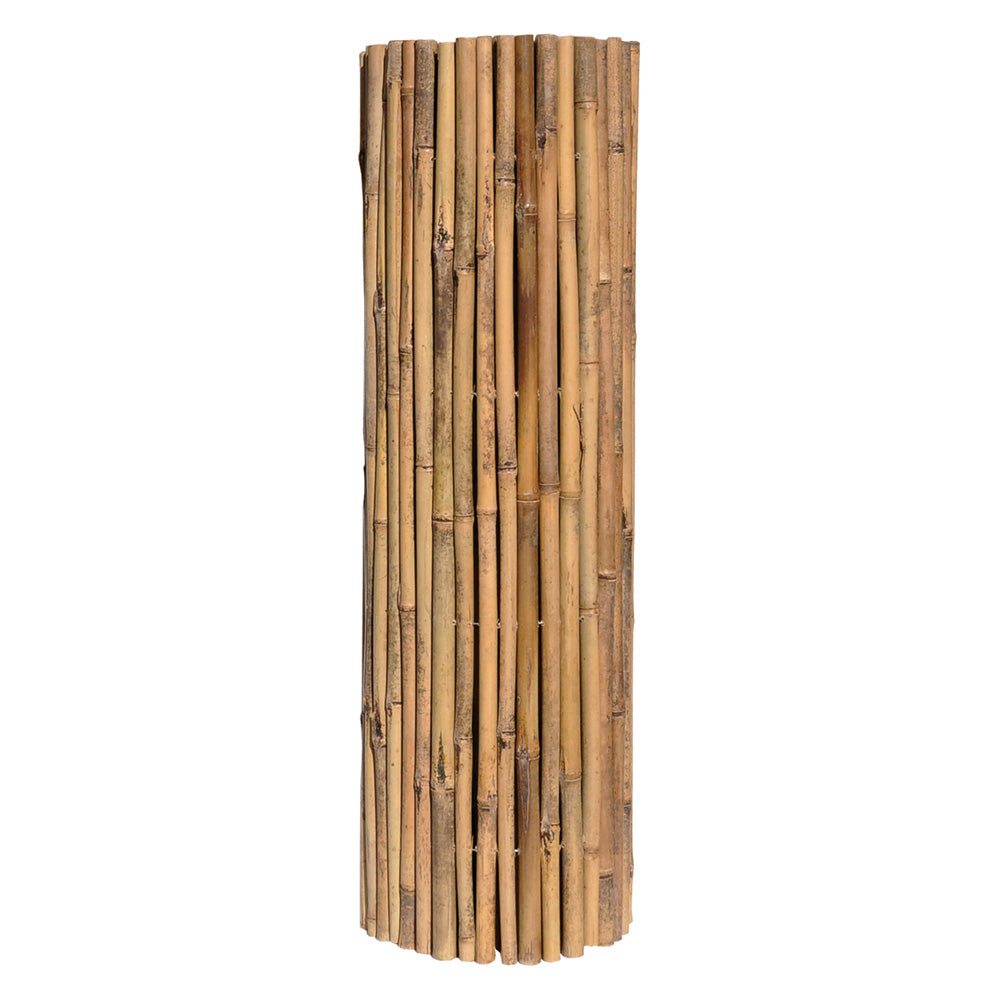 ARELLA CANNA PASSANTE 'MASTER' cm 250 x 300-Frangivista, delimitazioni, allestimenti-Ecanshop