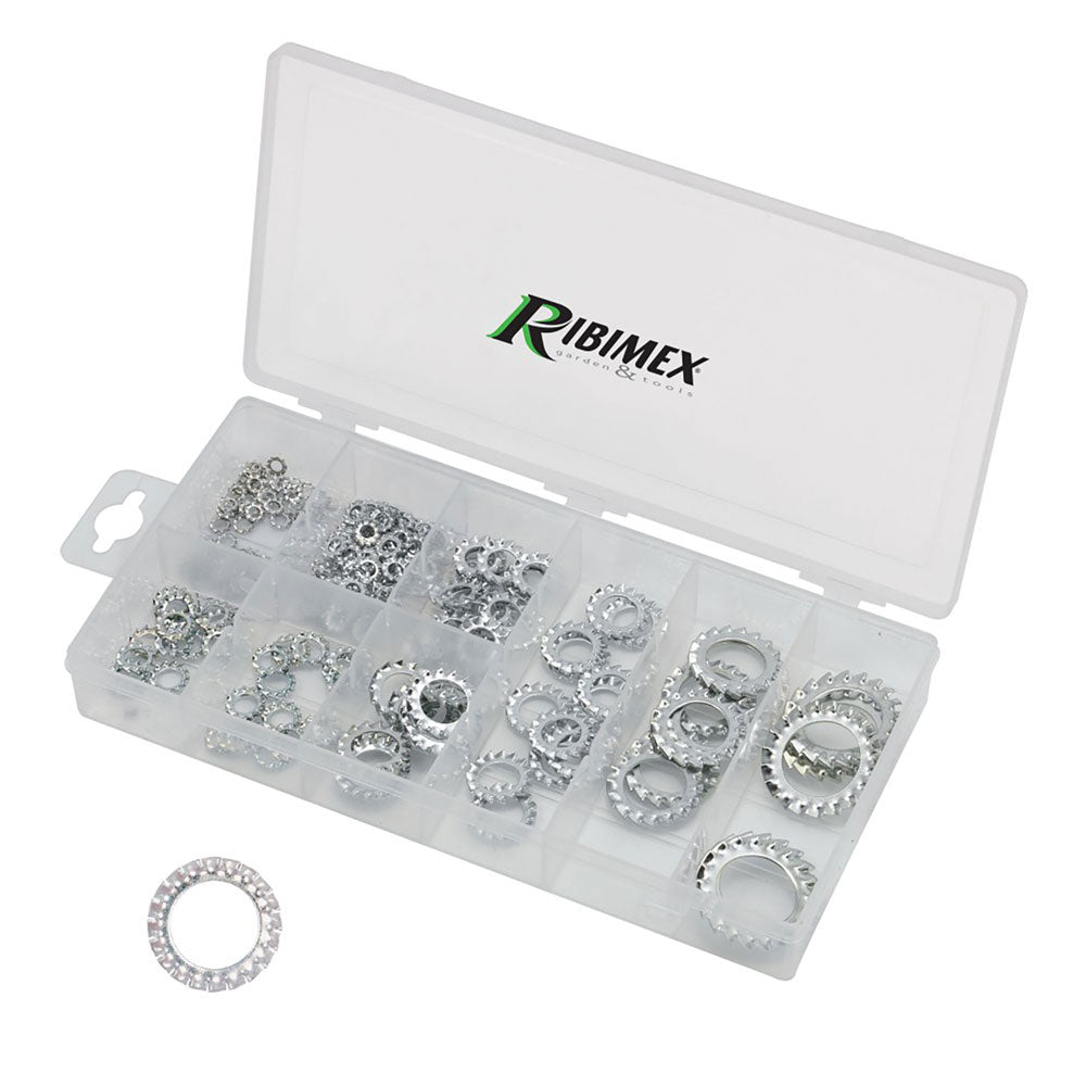 ASSORTIMENTO RONDELLE DENTELLATE 200 pezzi-Dadi e rondelle-Ecanshop