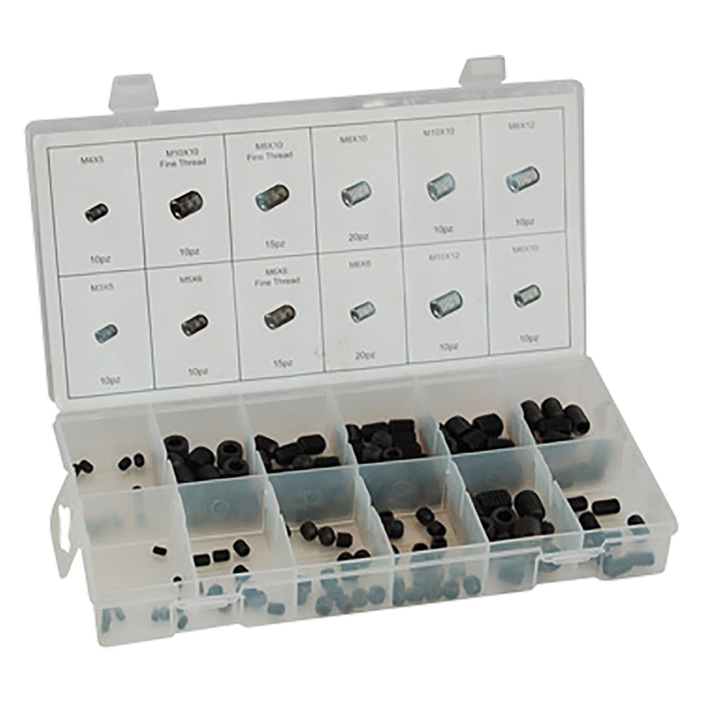 ASSORTIMENTO VITI GRANI SENZA TESTA totale 150 pz-VITERIA E BULLONERIA-Ecanshop