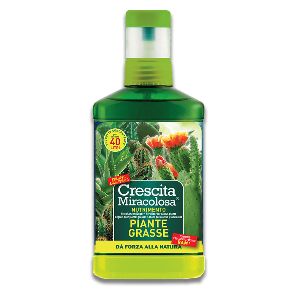 CONCIME LIQUIDO 'PIANTE GRASSE' ml 200-Terricci e trattamento piante-Ecanshop