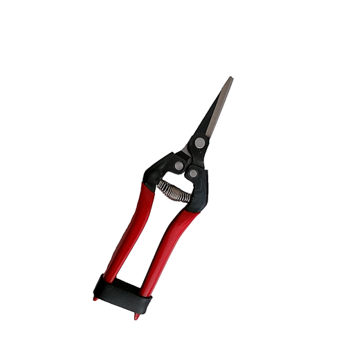 Forbici cogli agrumi cesoia per agrumi forbice acciaio inox raccolta vigna frutta-Forbici da pota-Ecanshop