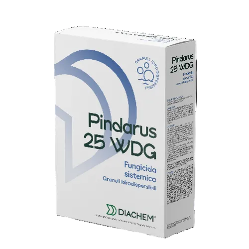 PINDARUS 25 WDG Diachem Fungicida Sistemico - Tebuconazolo per agricoltura professionale