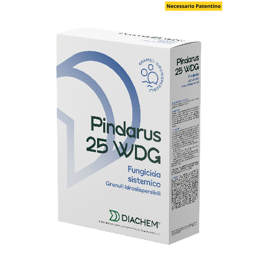 PINDARUS 25 WDG Diachem Fungicida Sistemico - Tebuconazolo per agricoltura professionale