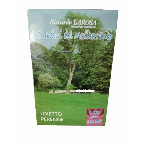 Semi per prato sementi da giardino perenne sempreverde erba prati seme tappeto-Ecanshop