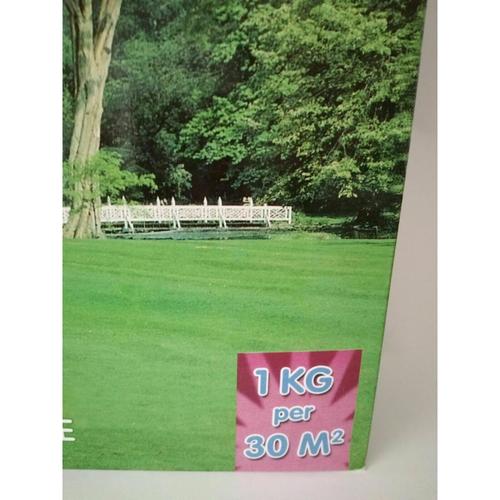 Semi per prato sementi da giardino perenne sempreverde erba prati seme tappeto-Ecanshop