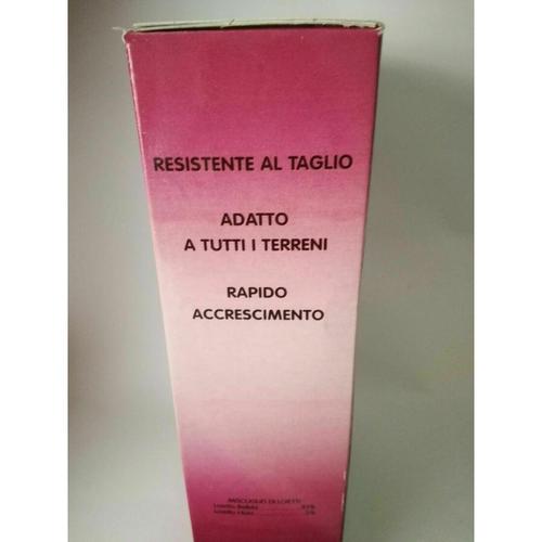 Semi per prato sementi da giardino perenne sempreverde erba prati seme tappeto-Ecanshop