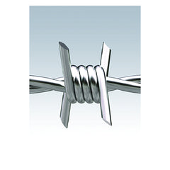 FILO SPINATO "RICCIO" rotolo mt 100-Fili metallici ed accessori-Ecanshop
