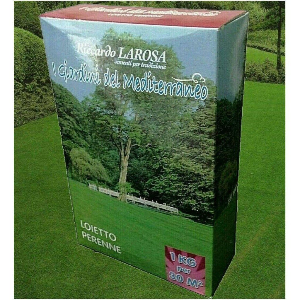Semi per prato sementi da giardino perenne sempreverde erba prati seme tappeto-Ecanshop