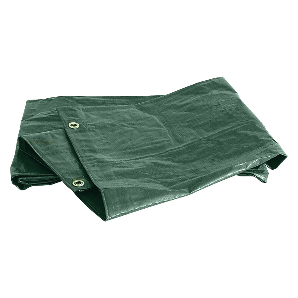 TELONE OCCHIELLATO 'EXTRA PESANTE' mt 8 x 10 - 280 gr./mq-Teli e reti per agricoltura-Ecanshop
