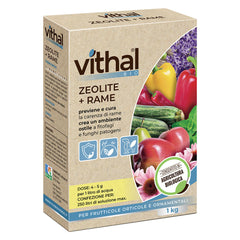 ZEOLITE CON RAME POLVERE MICRONIZZATA Kg.1-Terricci e trattamento piante-Ecanshop